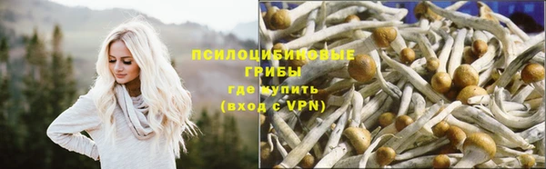 jwh Лагань