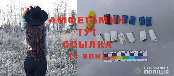 ПСИЛОЦИБИНОВЫЕ ГРИБЫ Ладушкин
