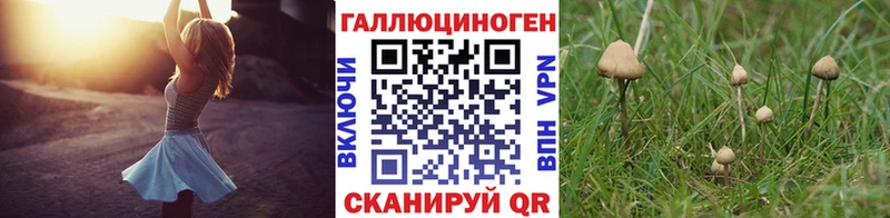 Купить  Дубна  Галлюциногенные грибы Magic Shrooms 